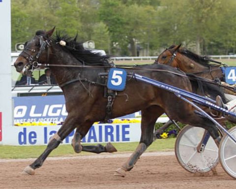 Quinté du samedi 11 octobre 2025 à Caen: les pronostics