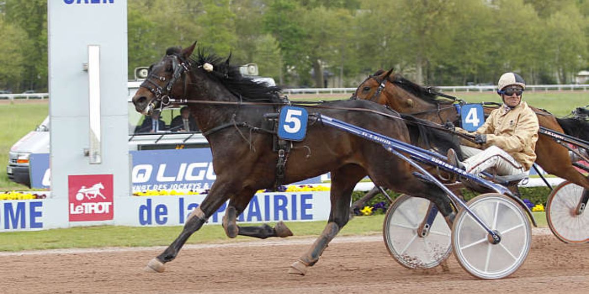 Quinté du samedi 11 octobre 2025 à Caen: les pronostics