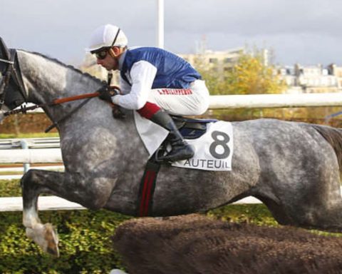 Quinté du dimanche 12 octobre 2025 à Auteuil: les pronostics