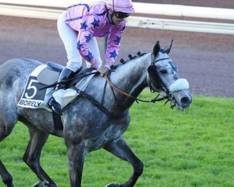 Quinté du lundi 13 octobre 2025 à Marseille Borély: les pronostics