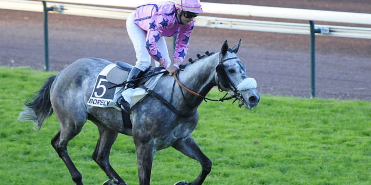 Quinté du lundi 13 octobre 2025 à Marseille Borély: les pronostics