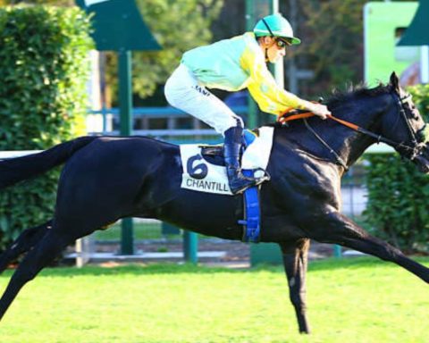 Quinté du mardi 14 octobre 2025 à Chantilly: les pronostics