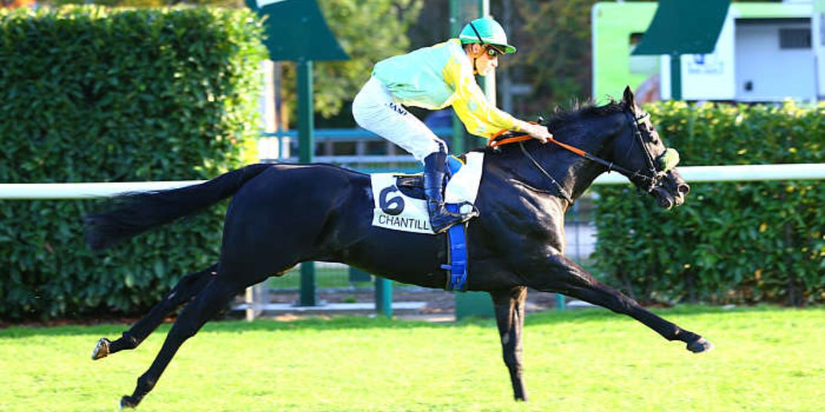 Quinté du mardi 14 octobre 2025 à Chantilly: les pronostics