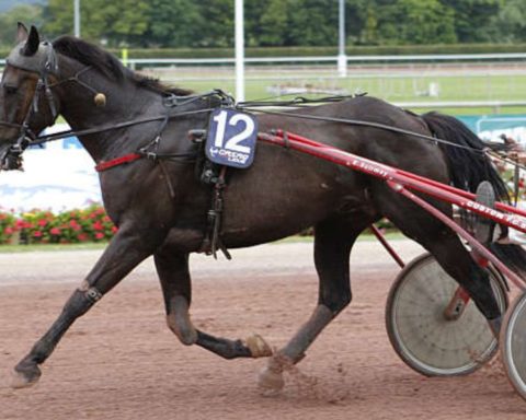 Quinté du mercredi 15 octobre 2025 à Feurs: les pronostics