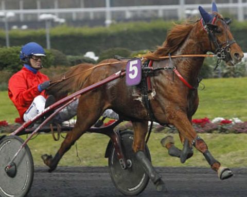 Quinté du vendredi 17 octobre 2025 à Vincennes: les pronostics