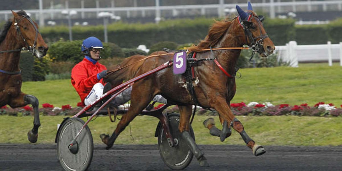 Quinté du vendredi 17 octobre 2025 à Vincennes: les pronostics