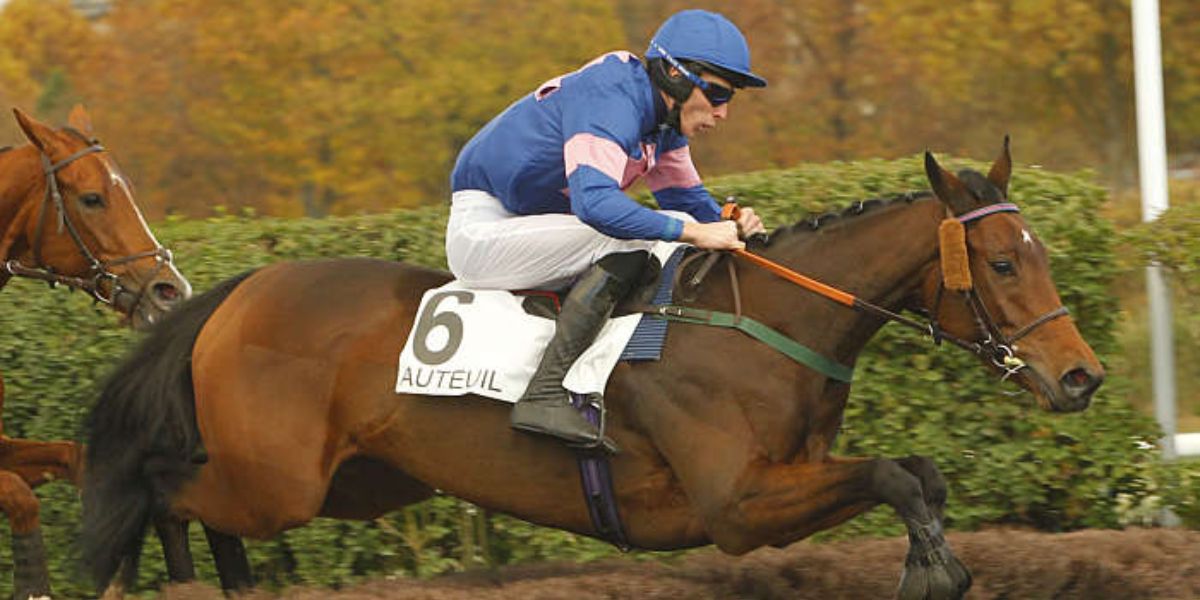 Quinté du samedi 18 octobre 2025 à Auteuil: les pronostics