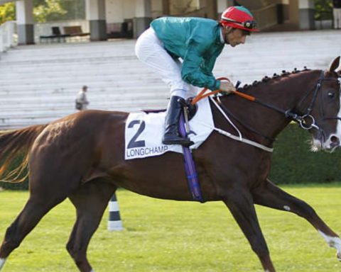 Quinté du dimanche 19 octobre 2025 à Longchamp: les pronostics