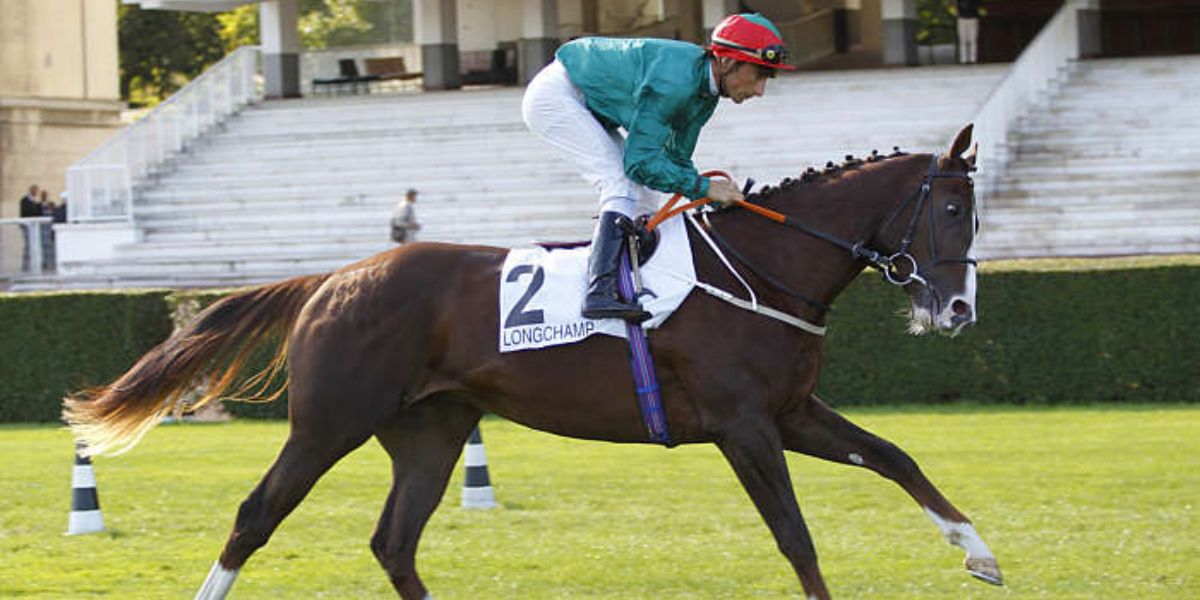 Quinté du dimanche 19 octobre 2025 à Longchamp: les pronostics