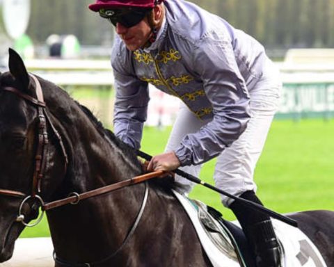 Quinté du lundi 20 octobre 2025 à Deauville: les pronostics