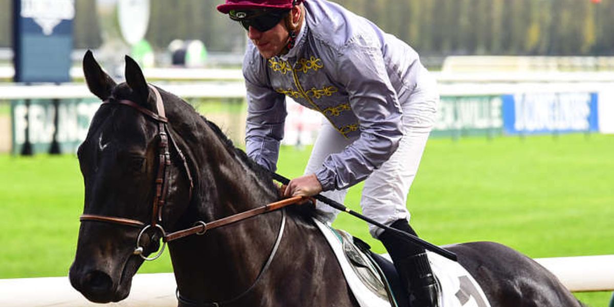 Quinté du lundi 20 octobre 2025 à Deauville: les pronostics