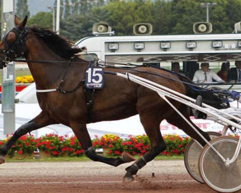 Quinté du mercredi 22 octobre 2025 à Beaumont: les pronostics