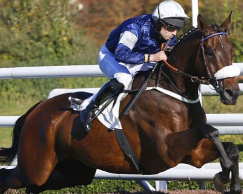 Quinté du jeudi 23 octobre 2025 à Auteuil: les pronostics
