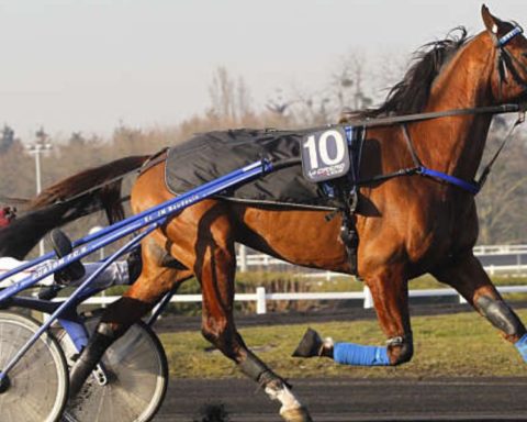 Quinté du vendredi 24 octobre 2025 à Vincennes: les pronostics