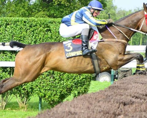 Quinté du samedi 25 octobre 2025 à Compiègne: les pronostics