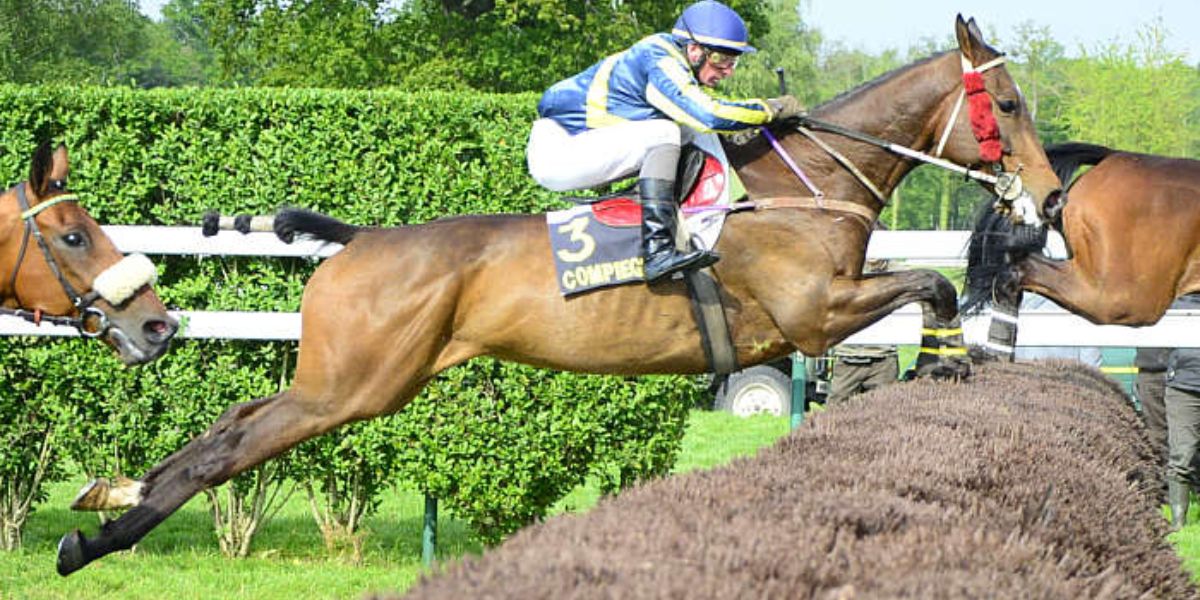 Quinté du samedi 25 octobre 2025 à Compiègne: les pronostics