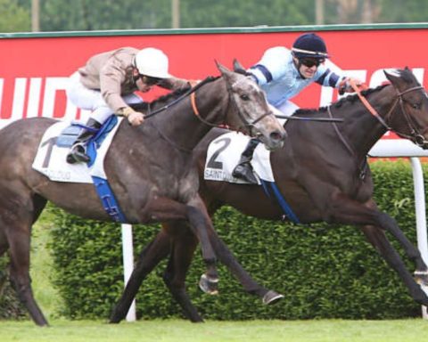 Quinté du dimanche 26 octobre 2025 à Saint-Cloud: les pronostics