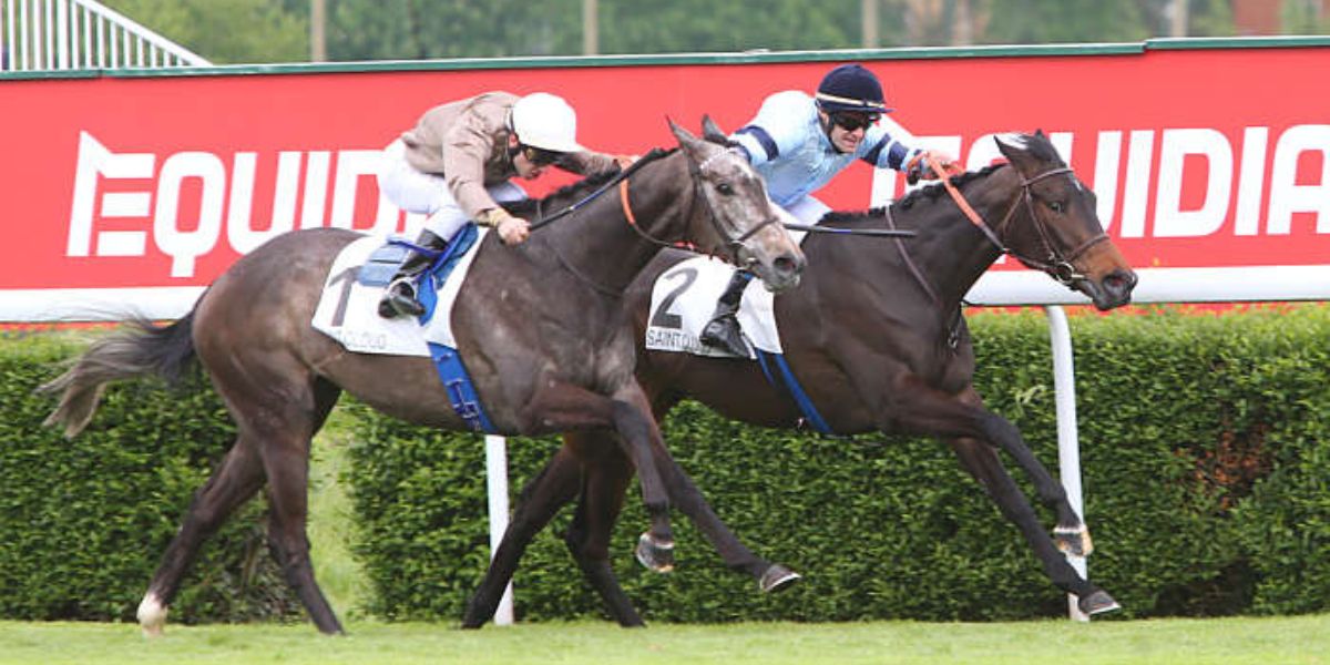 Quinté du dimanche 26 octobre 2025 à Saint-Cloud: les pronostics