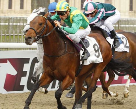 Quinté du lundi 27 octobre 2025 à Chantilly: les pronostics