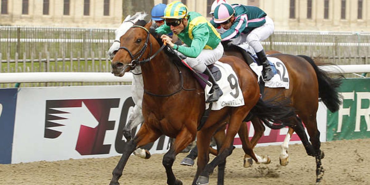 Quinté du lundi 27 octobre 2025 à Chantilly: les pronostics