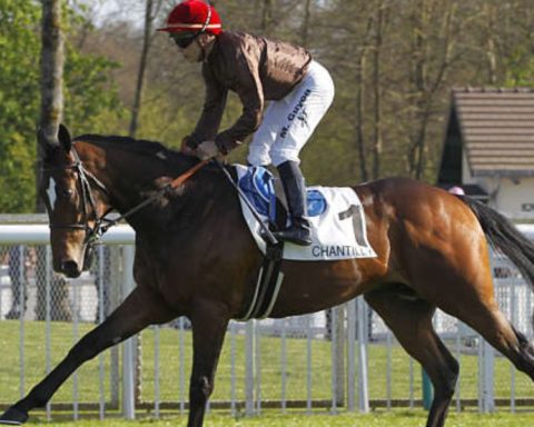 Quinté du mardi 28 octobre 2025 à Chantilly: les pronostics
