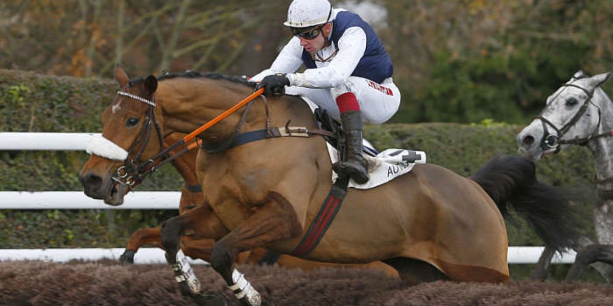 Quinté du mercredi 29 octobre 2025 à Auteuil: les pronostics