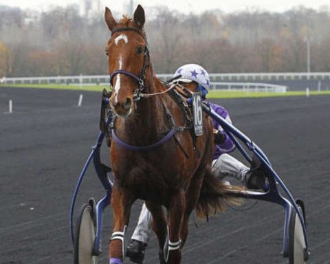 Quinté du jeudi 30 octobre 2025 à Vincenes: les pronostics