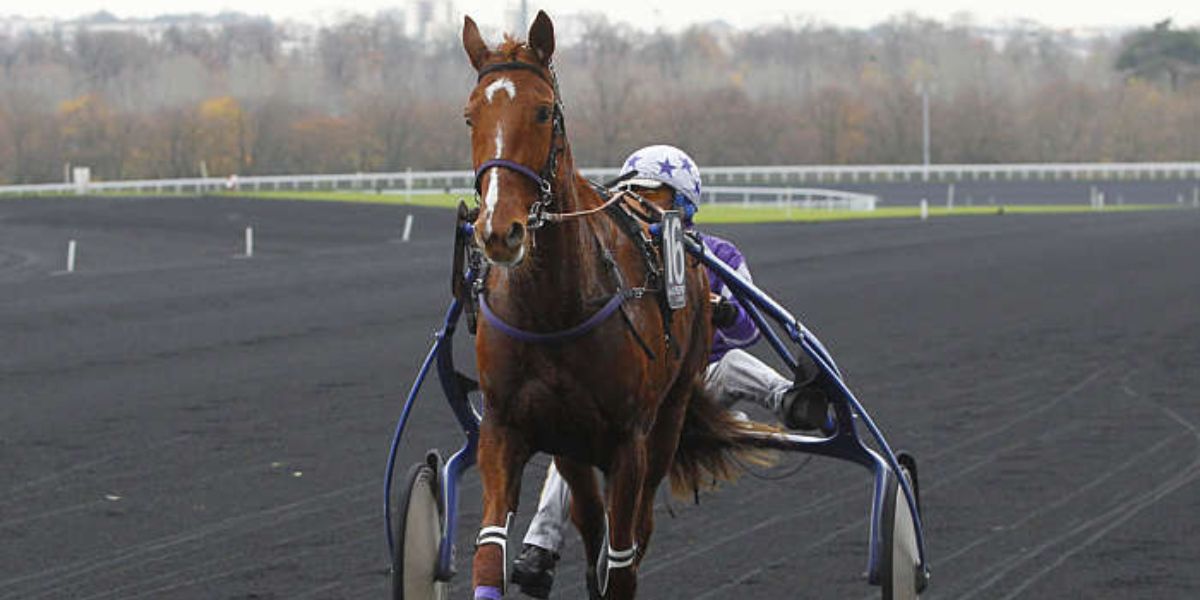 Quinté du jeudi 30 octobre 2025 à Vincenes: les pronostics