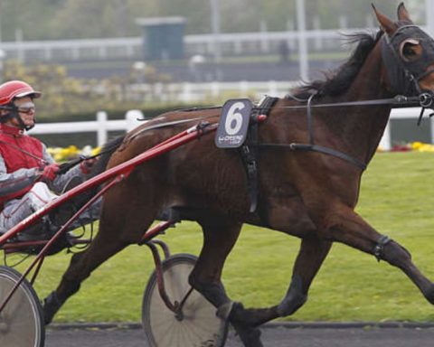 Quinté du vendredi 31 octobre 2025 à Vincenes: les pronostics