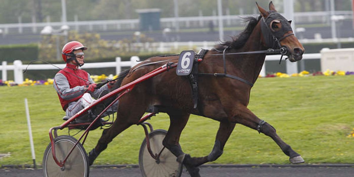 Quinté du vendredi 31 octobre 2025 à Vincenes: les pronostics