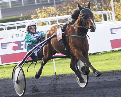 Quinté du lundi 1er décembre 2025 à Vincennes: les pronostics