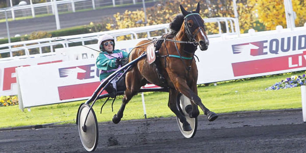 Quinté du lundi 1er décembre 2025 à Vincennes: les pronostics