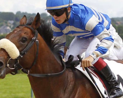 Quinté du mardi 2 décembre 2025 à Deauville: les pronostics