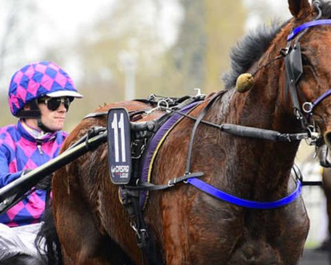 Quinté du mardi 4 novembre 2025 à Vincennes: les pronostics