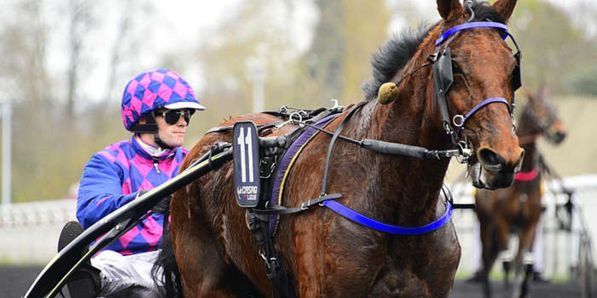 Quinté du mardi 4 novembre 2025 à Vincennes: les pronostics