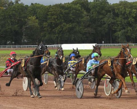 Quinté du mercredi 5 novembre 2025 à Nantes: les pronostics