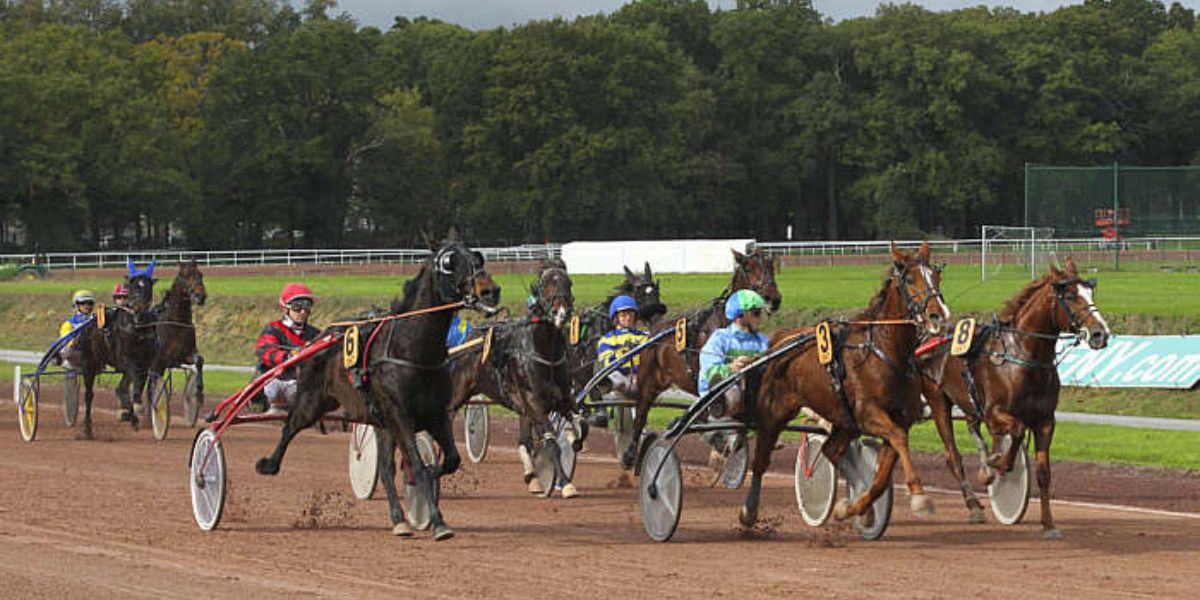 Quinté du mercredi 5 novembre 2025 à Nantes: les pronostics