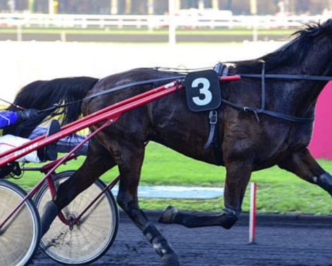 Quinté du vendredi 7 novembre 2025 à Vincennes: les pronostics