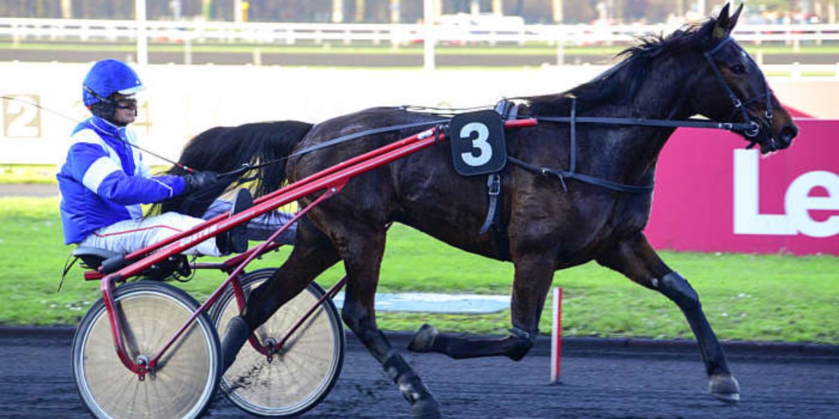 Quinté du vendredi 7 novembre 2025 à Vincennes: les pronostics