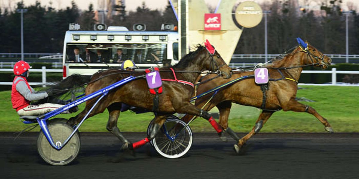 Quinté du samedi 8 novembre 2025 à Vincennes: les pronostics