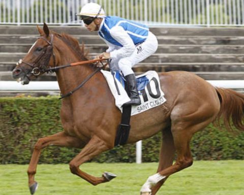 Quinté du dimanche 9 novembre 2025 à Saint-Cloud: les pronostics