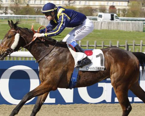 Quinté du lundi 10 novembre 2025 à Chantilly: les pronostics