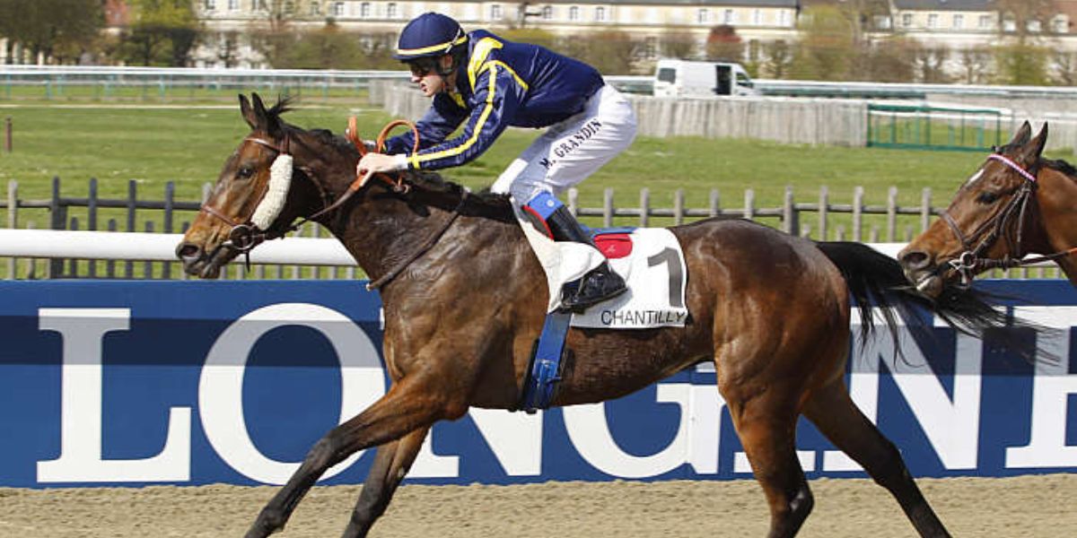 Quinté du lundi 10 novembre 2025 à Chantilly: les pronostics