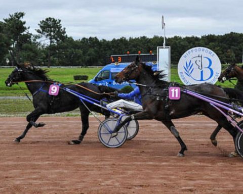 Quinté du mercredi 12 novembre 2025 à Bordeaux: les pronostics