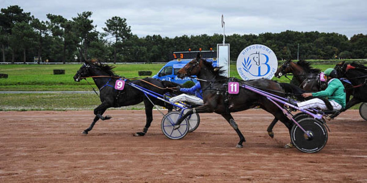 Quinté du mercredi 12 novembre 2025 à Bordeaux: les pronostics