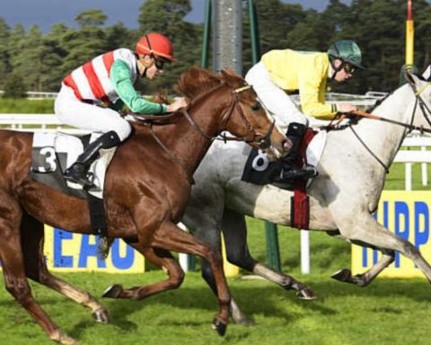 Quinté du jeudi 13 novembre 2025 à Fontainebleau: les pronostics