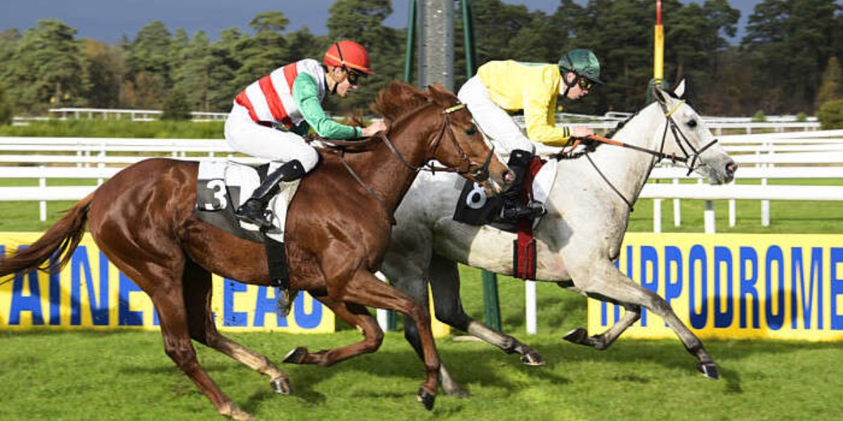 Quinté du jeudi 13 novembre 2025 à Fontainebleau: les pronostics