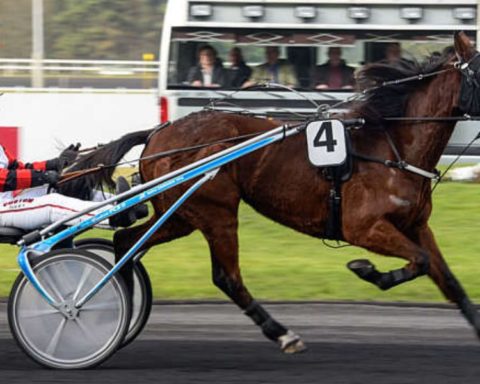 Quinté du vendredi 14 novembre 2025 à Vincennes: les pronostics