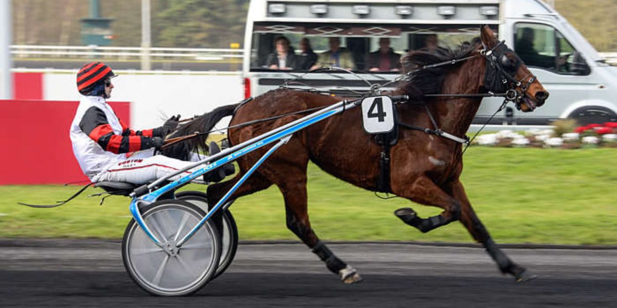 Quinté du vendredi 14 novembre 2025 à Vincennes: les pronostics