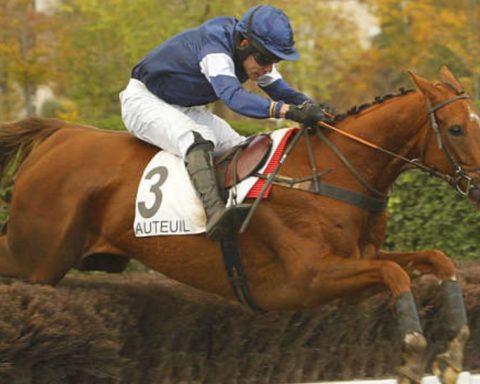 Quinté du samedi 15 novembre 2025 à Auteuil: les pronostics